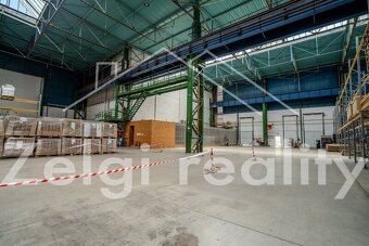 Skladovací prostory - Služby paletového pohybu -Brno Tuřanka - 5