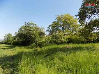 Prodej ovocného sadu, 912 m², Třebenice, ul. Třebenice - 5