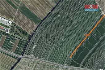 Prodej pole, 7451 m², Vracov - 5