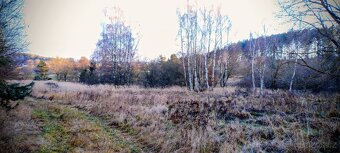 10.000m2 Závišín u Bělčic - 5