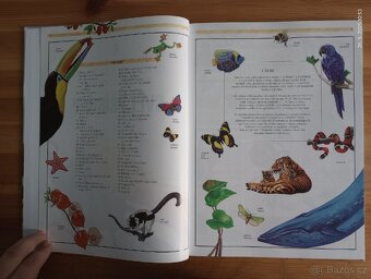 Ottova obrazová encyklopedie Svět zvířat (včetně dopravy) - 5