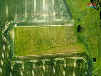 Prodej pole, 5585 m², Sedliště - 5