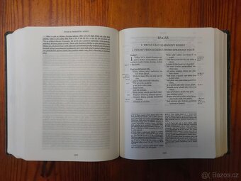 Velká Jeruzalémská Bible - 5