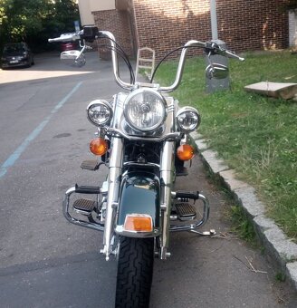 Harley Davidson FLSTN - 5