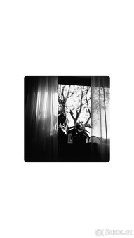 Pentacon six TL s carl zeiss biometar 80mm 2.8 - 5