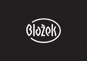 Pánská formální košile Blažek (40) - 5