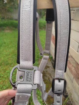 Ohlávky eskadron  a další - 5