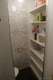 Pronajmu 1+KK Sokolovká Plzeň - město - 5