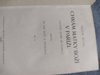 Chrám Matky Boží v Paříži - 5