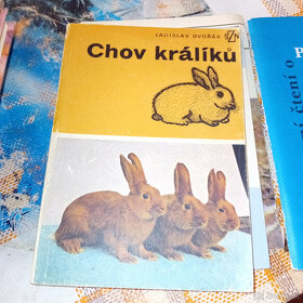 Ottův slovník - 5