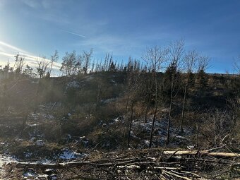 Prodej lesa v k.ú Střížov u Jihlavy 11 837 m2 - 5