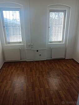 Pronájem domu Plzen u mostu Generála Pattona - 5