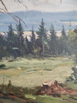 obraz LESNÍ MÝTINA, olej, sign. Trinkmoc - 5