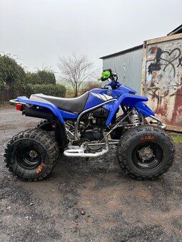 Yamaha blaster 200 - 5