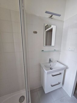 Pronájem 1+1 tř. Kpt. Jaroše, Brno - 5