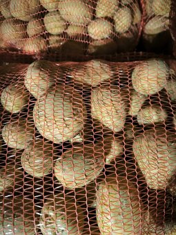 Brambory na bramboráky nebo kaši. - 5