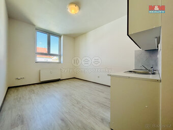 Pronájem bytu 1+kk, 24,5 m², Janovice n. Úhlavou - 5