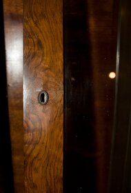 krásná třešňová prosklená KNIHOVNA - 5