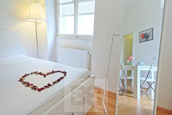 Pronájem bytu 1+kk, 31 m2 - Praha - Nové Město, ev.č. N08011 - 5