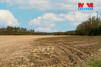Prodej pole, 5839 m², Předenice - 5