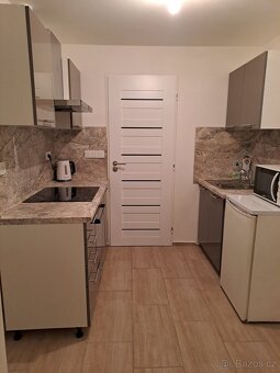 Pronájem bytu 2 /3/+1 - 5