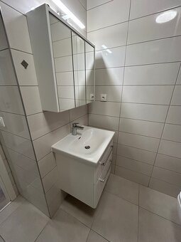 Pronájem bytu 1+KK se zahrádkou a parkováním - 5