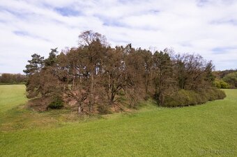 NA PRODEJ RÁJ na kopečku NA BOREČKU 7342 m2 - 5