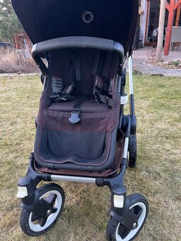 Bugaboo buffalo - 5
