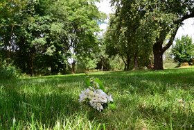 Pronájem stodoly/statku/svatba - 5