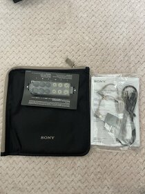 Sony WI-1000X - 5