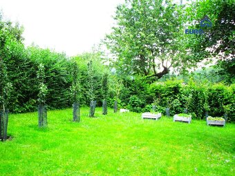 Prodej, zahrada 615 m2 s chatkou, obec Běšiny u Klatov - 5