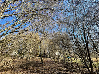 Prodej stavebního pozemku 2276 m², Služátky, Světlá n/S - 5