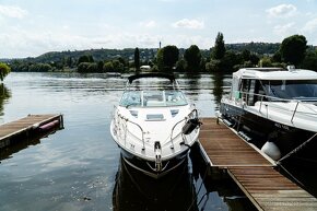 MOTOROVÁ LOĎ BAYLINER 842 CU - 5