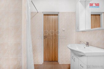 Pronájem bytu 1+kk, 23 m², Plazy - 5