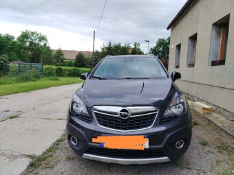 mokka - 5