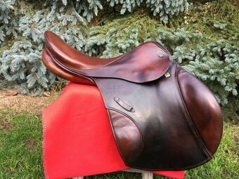 Stubben Siegfried - 5