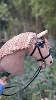Hobby horse Larden - 5