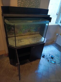 Terarium/akvarium/paludarium - 5