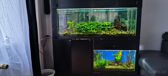 akvarijní set - 5