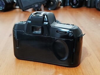 NIKON F70 (Kiron Macro MC 28-70mm) - 1994 - 5