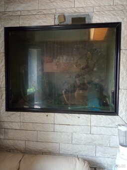 akvarium 550 l - 5