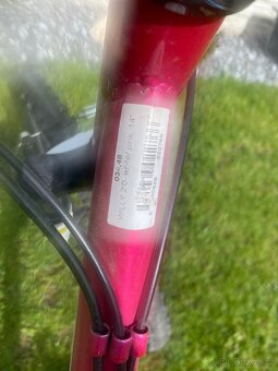 Divci horeke kolo KTM Willy 14” - 5