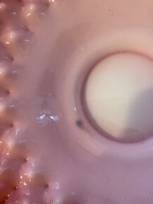 Skleněná miska - 5