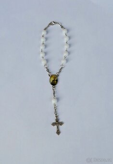 Růžence - různé druhy - 5