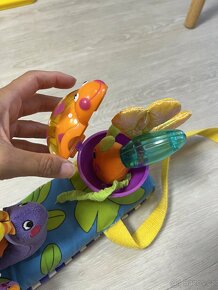 Hrazdička Sassy - 5