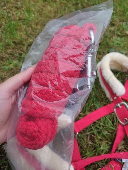 Červená ohlávka s beránkem a vodítko - 5