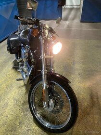 Harley-Davidson Sportster 1200 XL Custom - 5