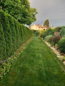 Zahrada v Černé za Bory 694 m2 - 5