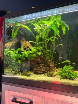 Akvarijní set 240l - 5