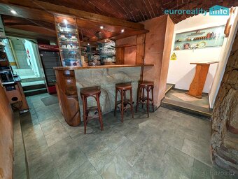 Pronájem, restaurace, 192 m2, Plzeň, ul. Lindauerova - 5